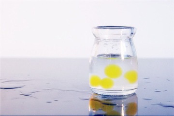 海绵宝宝