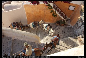 IMG_2620.jpg
