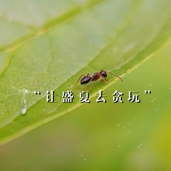 78780A0B-35E4-4A10-8BCD-14CAC1BA091E/L0/001