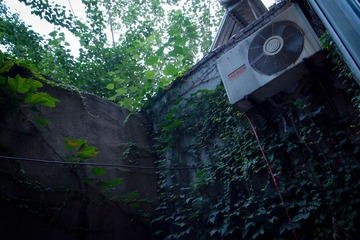 R0023486-4.JPG