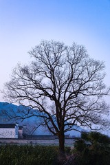 FA09001A-B132-44B0-A191-2A8D50BF8FBC/L0/001
