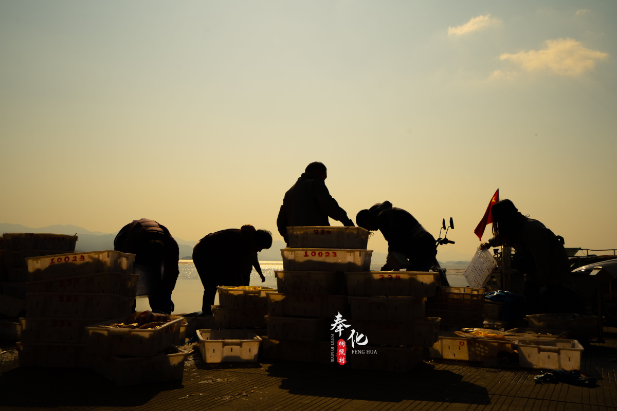 奉化风光 桐照村 天下第一渔村