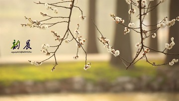 _MG_8979 - 