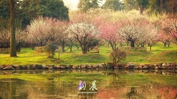 图层 0