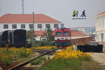 _MG_5391_