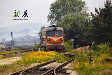 _MG_5354_
