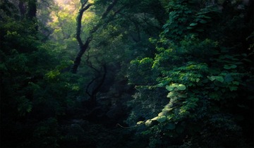 “_MG_6501”为智能对象-1-1
