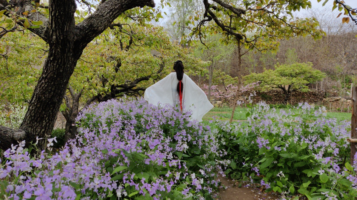 无名影像 - 图虫