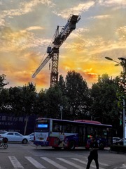 9036361
