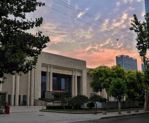 9013761