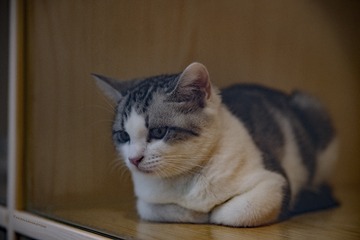 8377