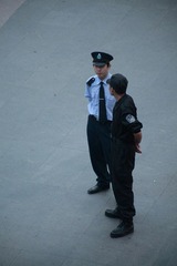 _MG_7824-2.jpg