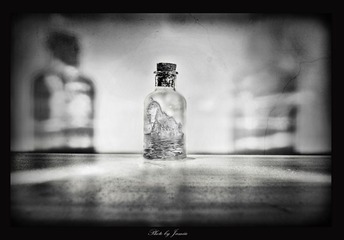 DSC0488g5