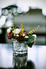 DSC05165.jpg