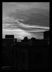 DSC0bw9905359.jpg