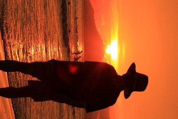 IMG_2411.jpg