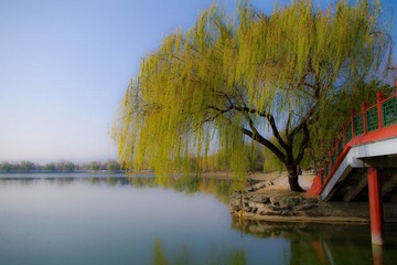 IMGP1849-2.jpg