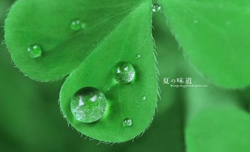 雨露