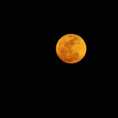 DSC_0247_