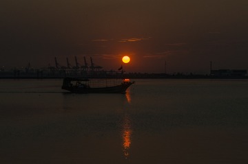 zzz0001 (43)