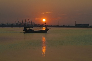 zzz0001 (44)