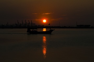 zzz0001 (45)