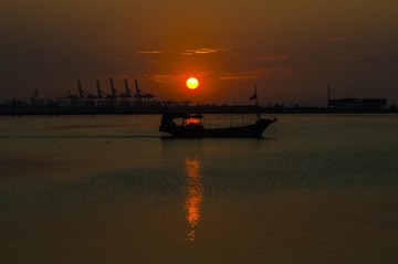 zzz0001 (47)