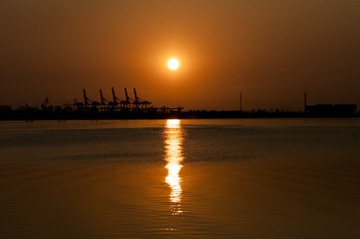 zzz0001 (29)