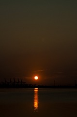 zzz0001 (39)