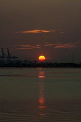 zzz0001 (62)
