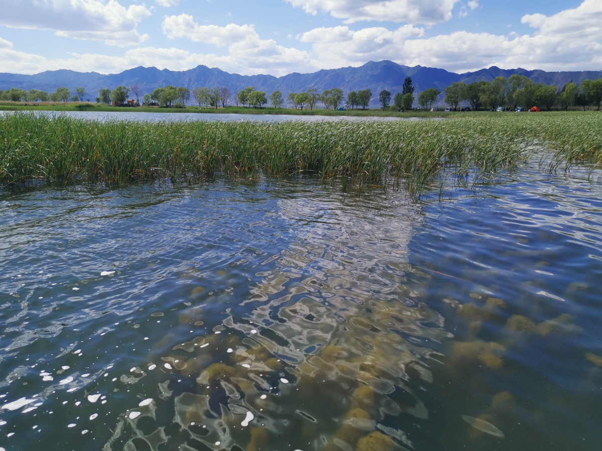 蓝天白云碧水绿草