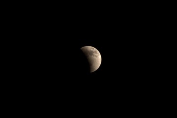 DSC09589.jpg