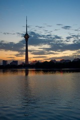 DSC05941.jpg