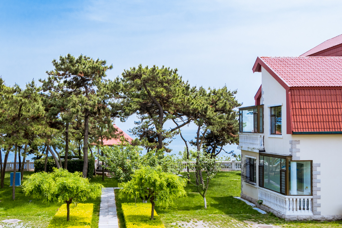 青岛海边的房子