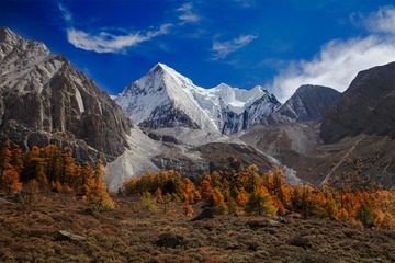 “IMG_6541”为智能对象-1