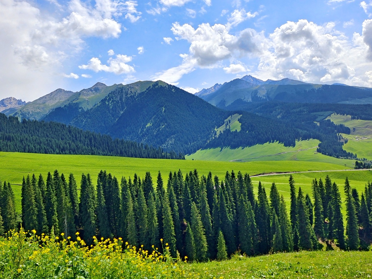 琼库什台美景 森林,草原,河流……每一样,每一处,都让人流连忘返!