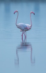 554346