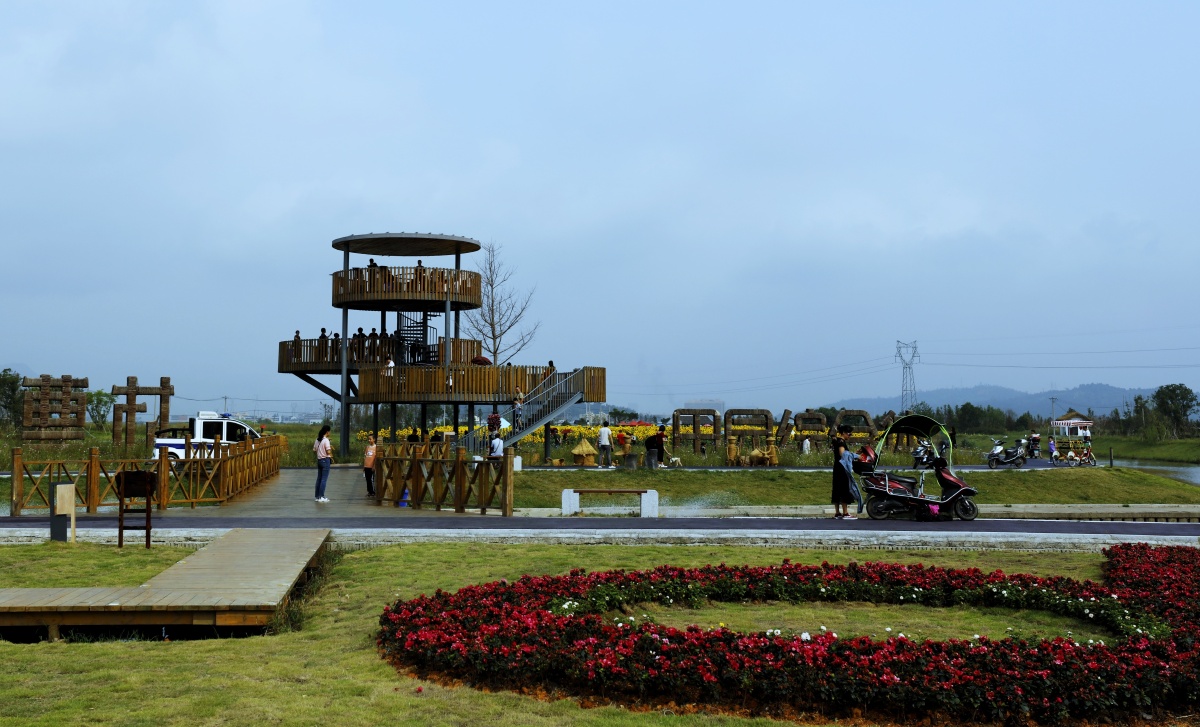 瑞安曹村太阳花田园70