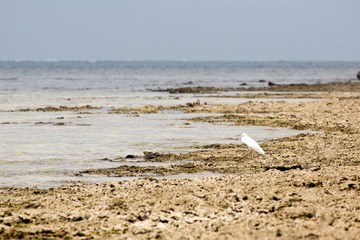 8A3C7413.jpg