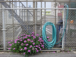 IMG_0039.JPG