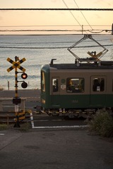 IMG_9534.jpg