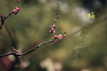 DSC03107_