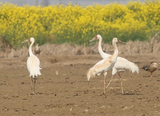 4S5A6173_