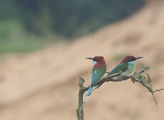 4S5A1710_
