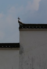 4S5A1459_