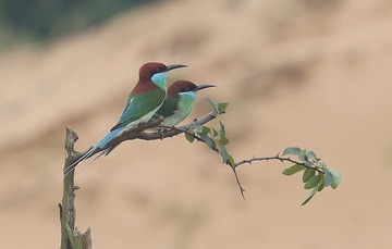 4S5A1714_