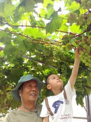 IMG_20160625_104442