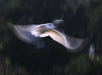 4S5A3392_