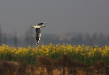 4S5A4907_