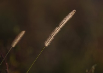 649A8493__